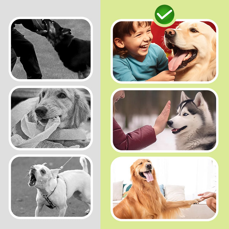 Dissuasion Ultrasonique Portable et Compact pour Chien