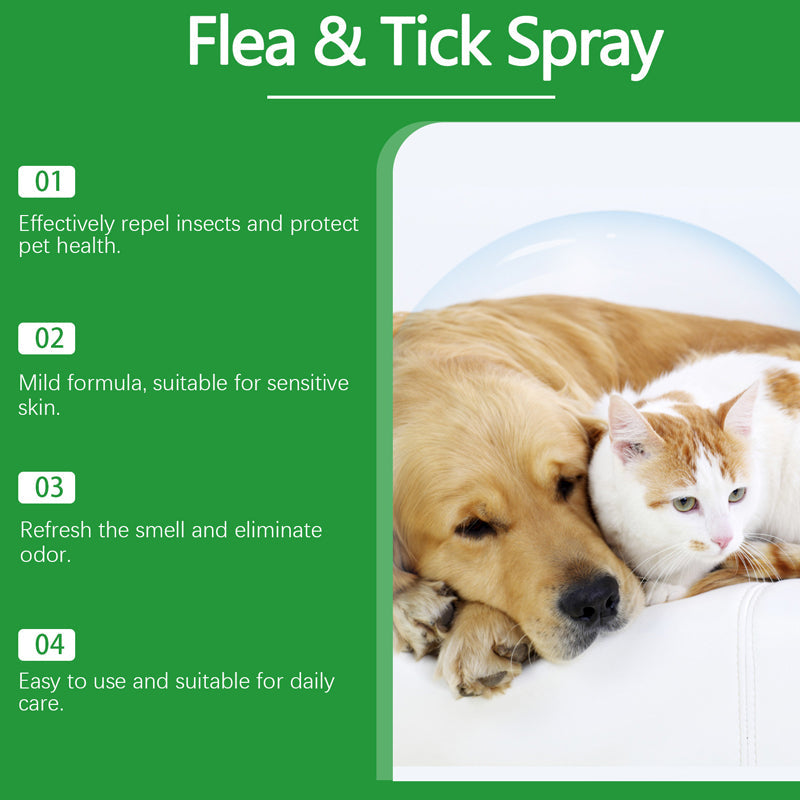 Spray naturel anti-puces et anti-tiques pour chiens et chats