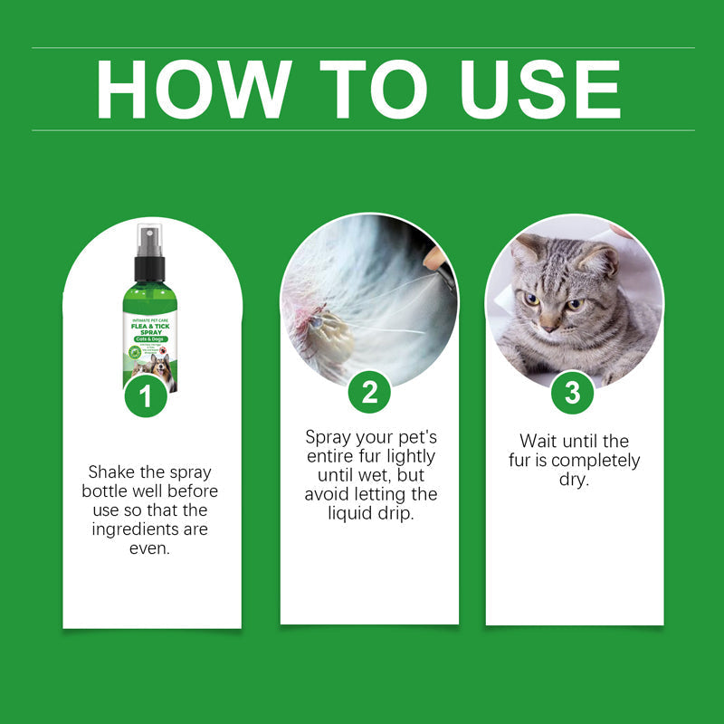 Spray naturel anti-puces et anti-tiques pour chiens et chats