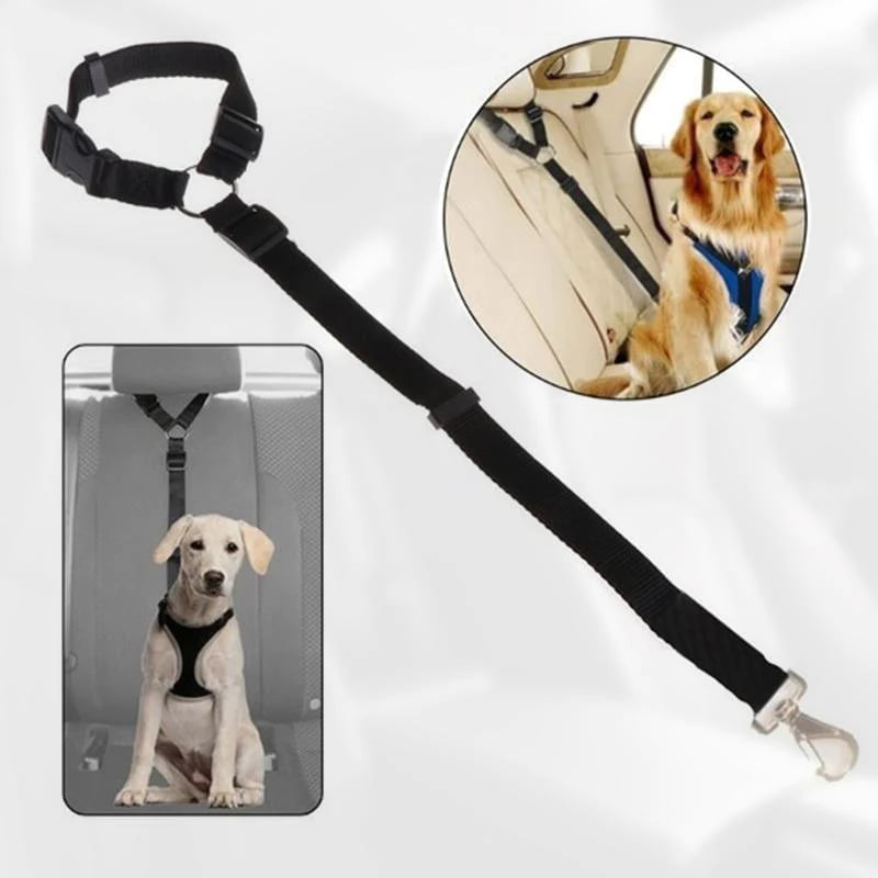 Ceinture de sécurité réglable pour chien