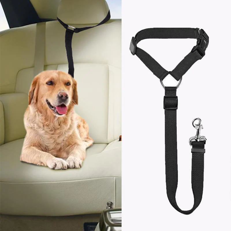 Ceinture de sécurité réglable pour chien