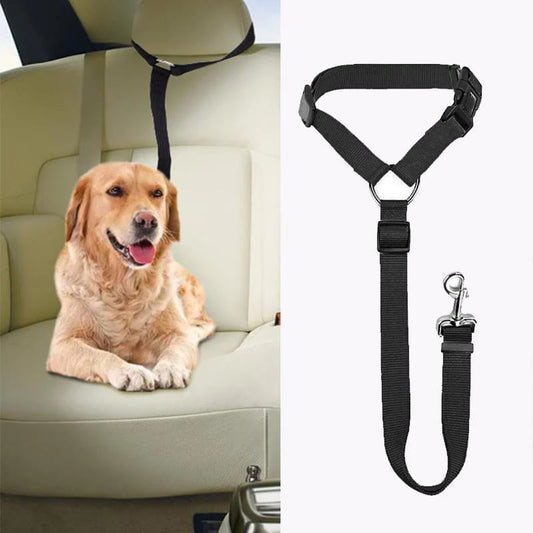 Ceinture de sécurité réglable pour chien