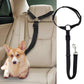 Ceinture de sécurité réglable pour chien