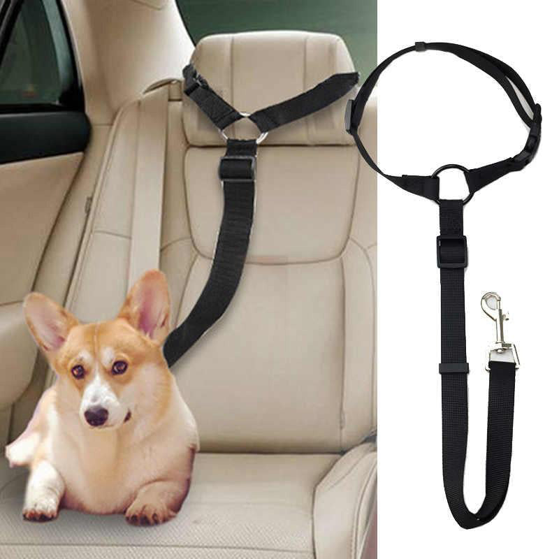 Ceinture de sécurité réglable pour chien