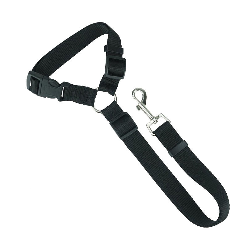 Ceinture de sécurité réglable pour chien