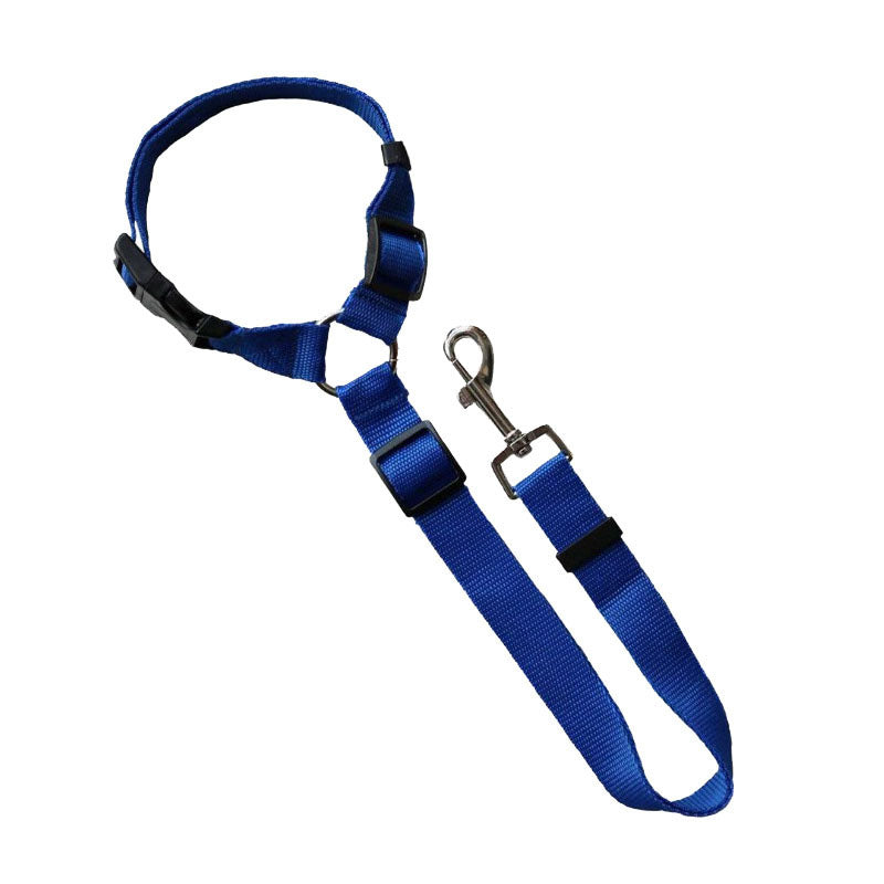Ceinture de sécurité réglable pour chien