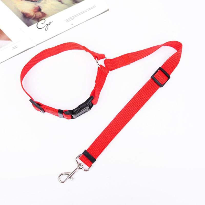 Ceinture de sécurité réglable pour chien