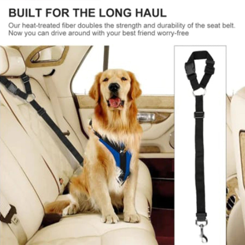 Ceinture de sécurité réglable pour chien