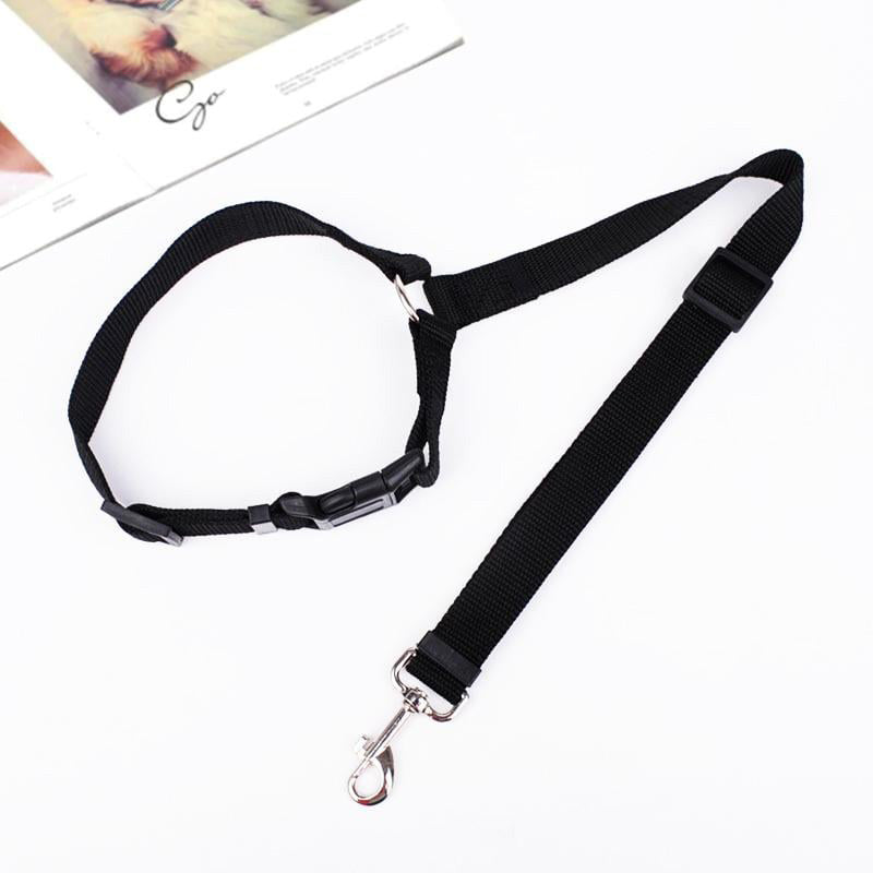 Ceinture de sécurité réglable pour chien