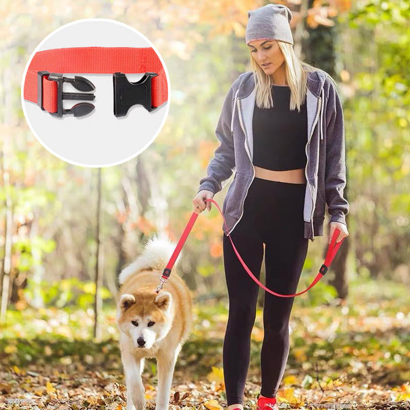 Ceinture de sécurité réglable pour chien