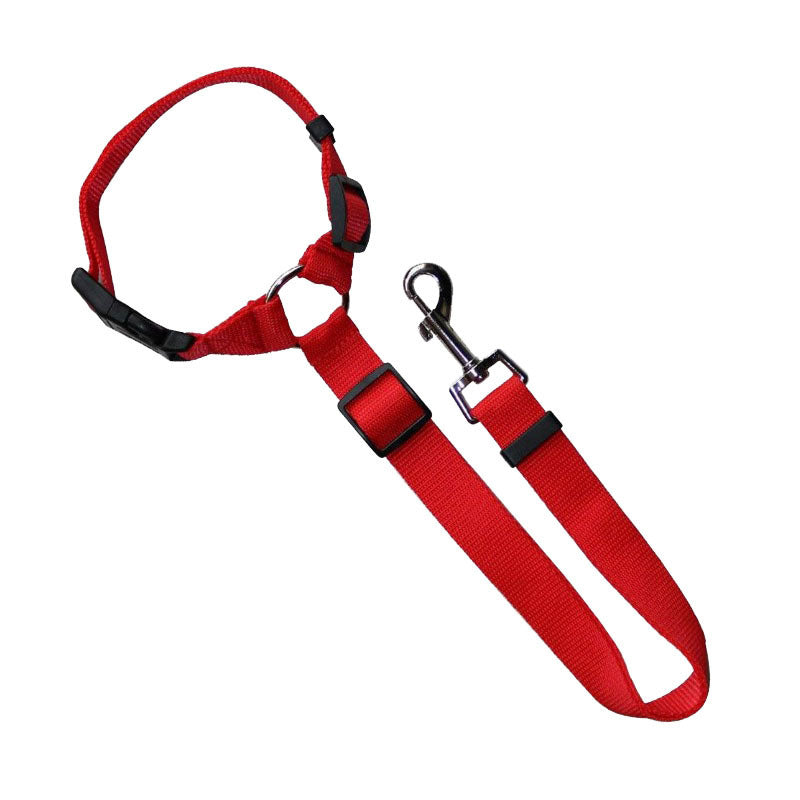 Ceinture de sécurité réglable pour chien
