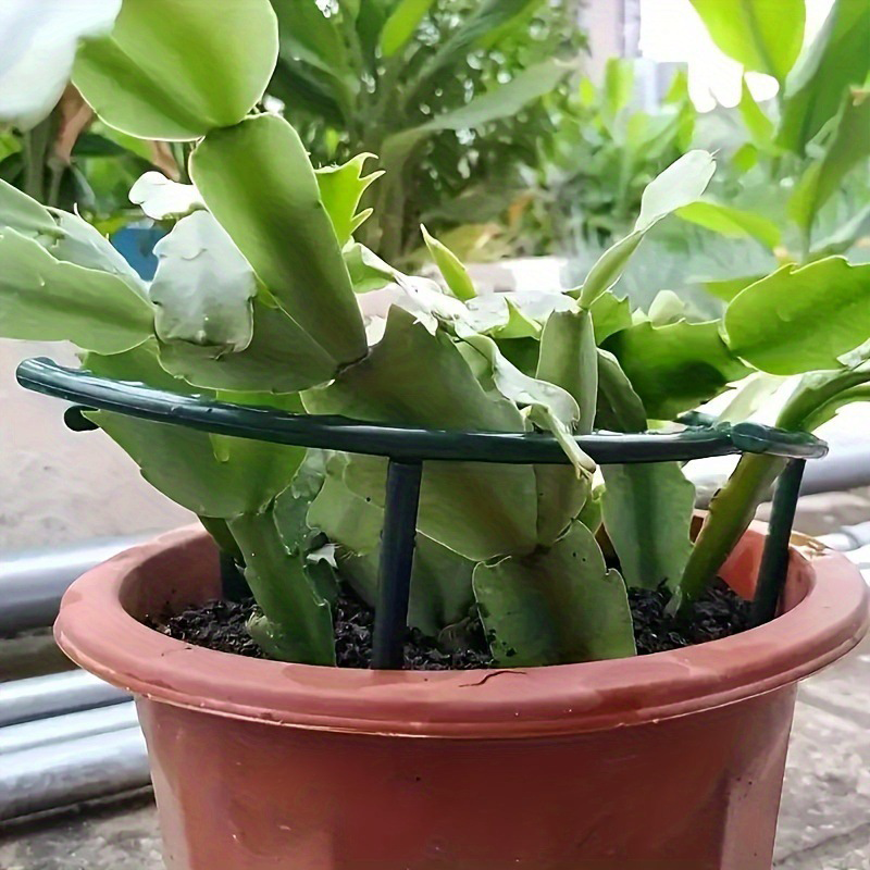 🌱 50% DE RÉDUCTION ! 🔗 Anneaux de Croissance Modulaires pour Plantes – Ajustables, réutilisables & parfaits pour tomates, fleurs ou plantes grimpantes 🍅