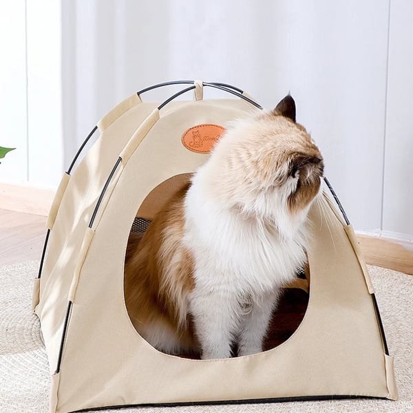 💐 PROMO EXCEPTIONNELLE -50% ! Tente Pliable Confortable – Structure Stable, Tapis Intérieur Doux 🌿✨