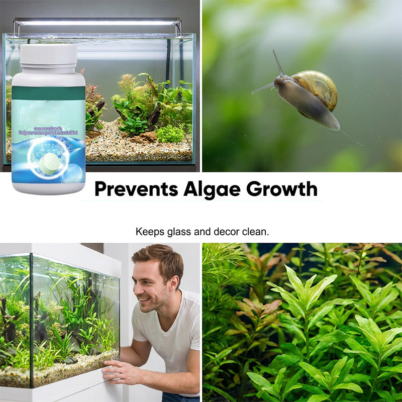✅PROMO FLASH 50%🐠Comprimés Effervescents Purifiant pour Aquarium – 100 comprimés, Clarification Rapide, Élimine Algues & Odeurs, Pour Tous Types d'Aquariums✨