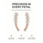 ✨ 50% DE RÉDUCTION MAINTENANT ! 🌟 Boucles d'oreilles grimpeuses étoile fleur en strass – Cristaux scintillants, design remontant confortable – parfaites pour le glamour quotidien ou les occasions spéciales 🌸
