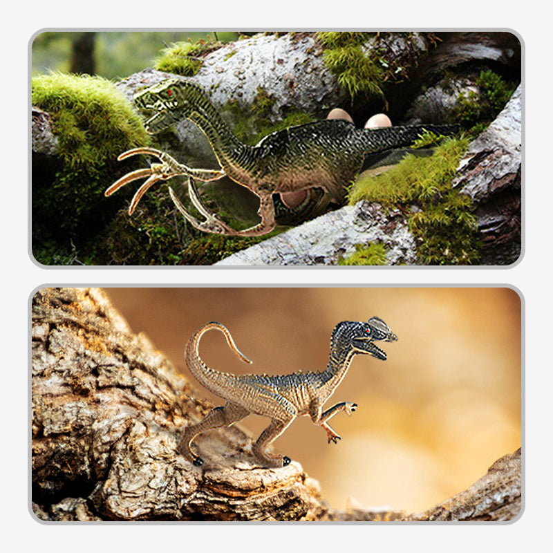 🦕PROMO FLASH 50%🦖Kit Éducatif Dinosaures 46/52/64 Pièces – Fossiles, Outils, Boîte T-Rex, Parfait pour Jeu Créatif & Découverte des Petits Paléontologues🌿