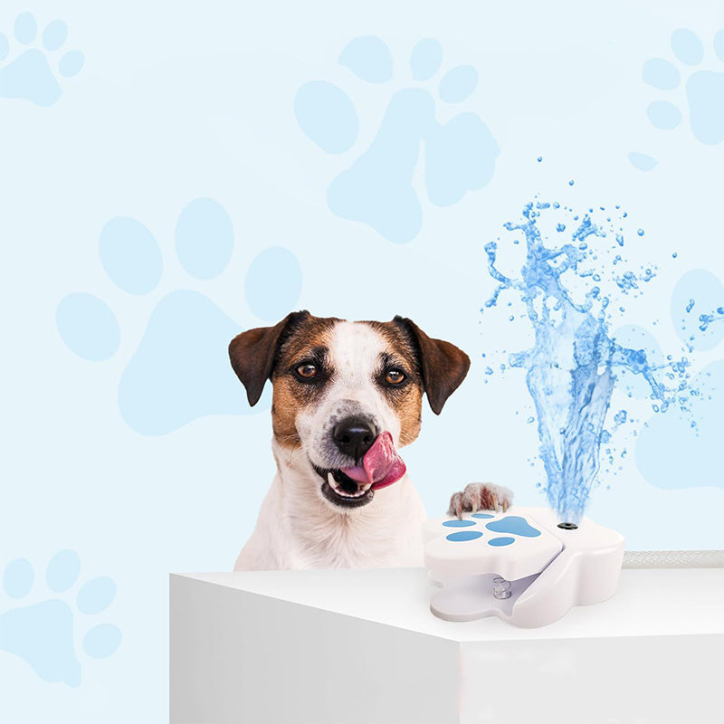 🐾💧⛲ Fontaine à eau pour chiens actionnée par la patte 🐶✨