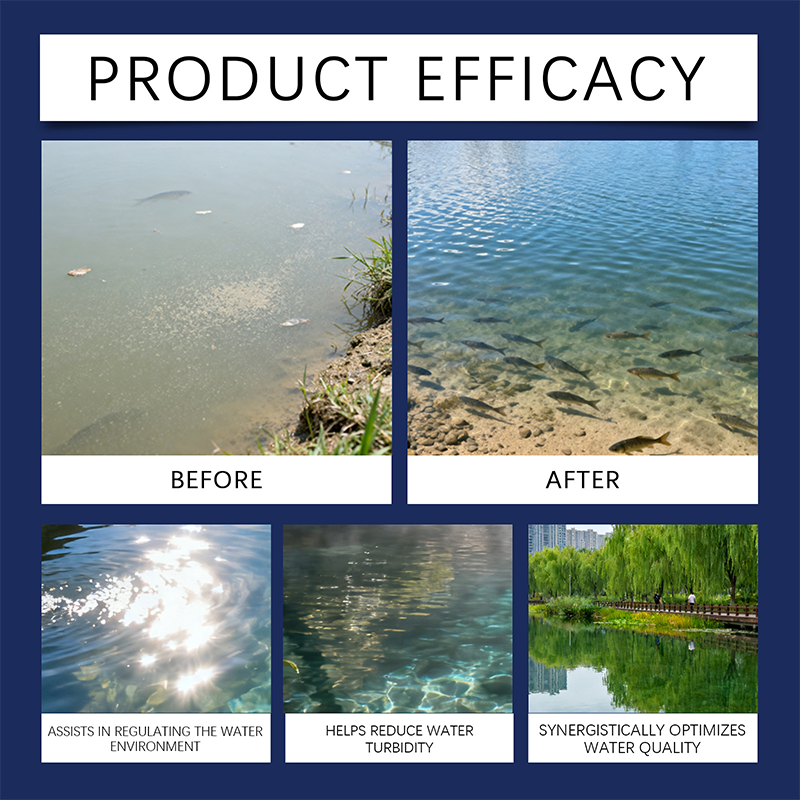 Clarifiant pour l’eau – Formule professionnelle