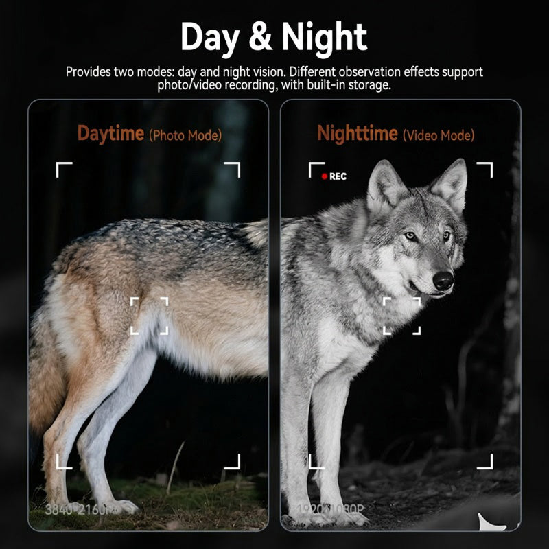 🔭OFFRE LIMITÉE : 50% DE RÉDUCTION🌙Jumelles de vision nocturne HD 800 m – Clarté 4K, mode jour/nuit, infrarouge puissant ⚡