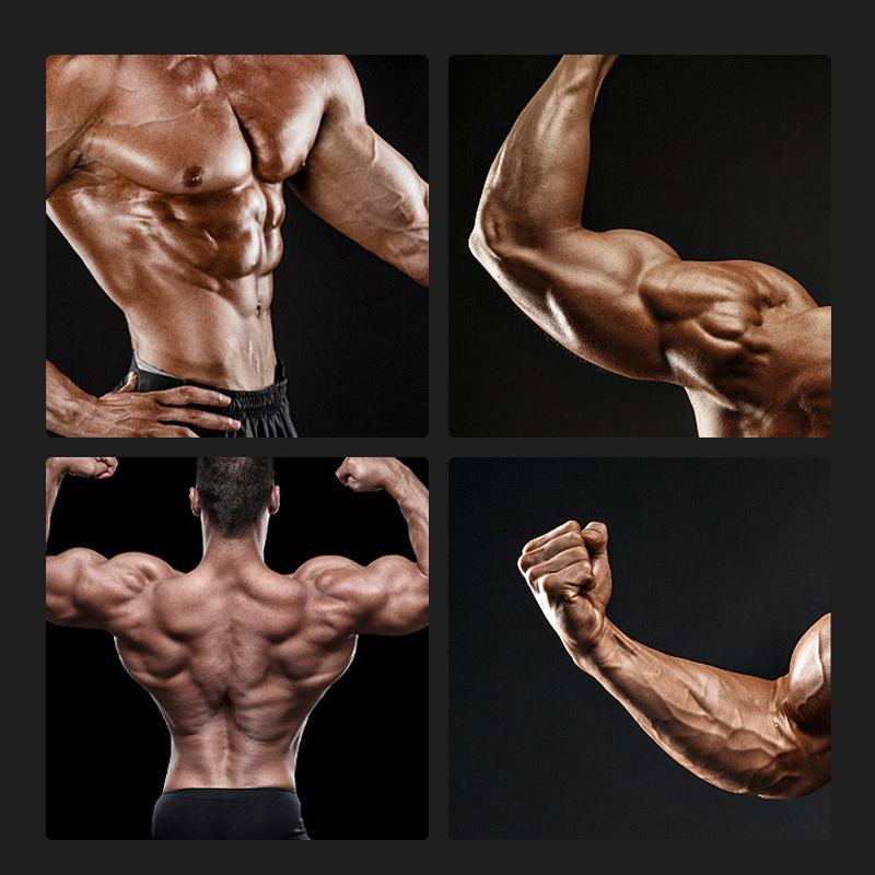 Appareil de rotation pour la coiffe des rotateurs, appareil de musculation de 5,4 kg pour les bras et les épaules avec résistance réglable, appareil d'entraînement pour les avant-bras et la force de préhension pour hommes et femmes