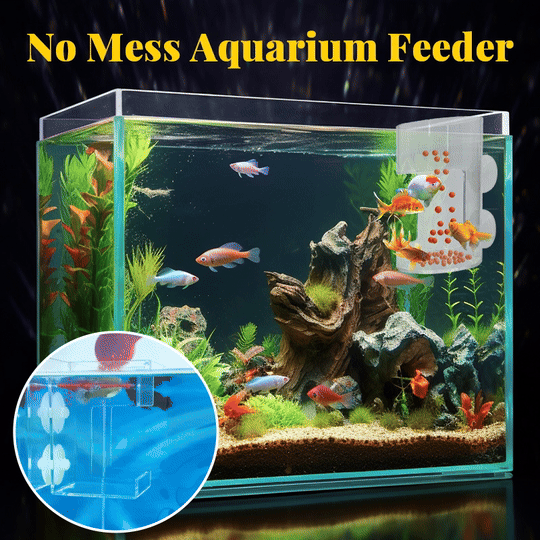 Anneau et Plateau de Nourrissage pour Aquarium