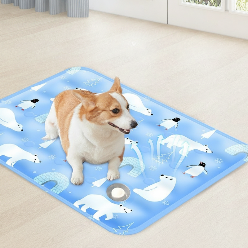 Tapis Rafraîchissant pour Animal de Compagnie Résistant aux Griffes