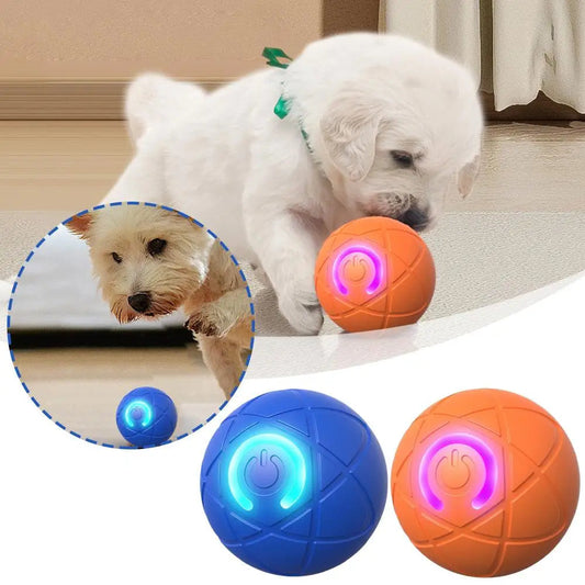 🥳VENTE CHAUDE 2026🥳💞50 000+ VENDUS !👵❤️ -50 % DE RÉDUCTION ! Balle Interactive Intelligente Rebondissante pour Animaux de Compagnie