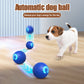 🥳VENTE CHAUDE 2026🥳💞50 000+ VENDUS !👵❤️ -50 % DE RÉDUCTION ! Balle Interactive Intelligente Rebondissante pour Animaux de Compagnie