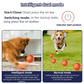 🥳VENTE CHAUDE 2026🥳💞50 000+ VENDUS !👵❤️ -50 % DE RÉDUCTION ! Balle Interactive Intelligente Rebondissante pour Animaux de Compagnie