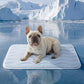 ❄️Tapis rafraîchissant en soie glacée pour animaux – Coussin rafraîchissant d'été pour chiens et chats, respirant et lavable, pour une utilisation intérieure et extérieure, léger et idéal pour les cages et les canapés