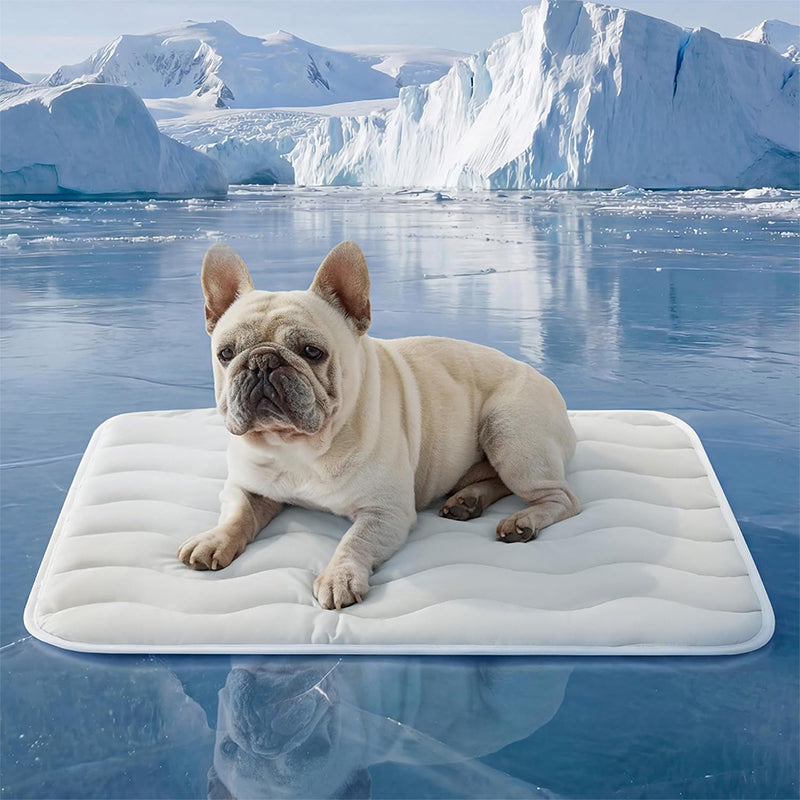 ❄️Tapis rafraîchissant en soie glacée pour animaux – Coussin rafraîchissant d'été pour chiens et chats, respirant et lavable, pour une utilisation intérieure et extérieure, léger et idéal pour les cages et les canapés