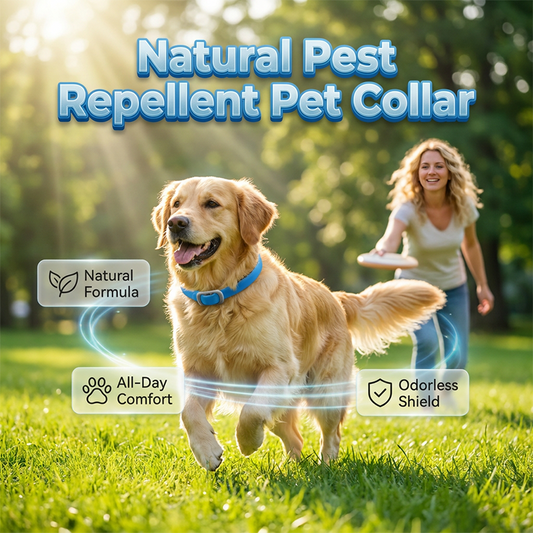 🐶🌿 Collier Anti-Insectes aux Huiles Essentielles