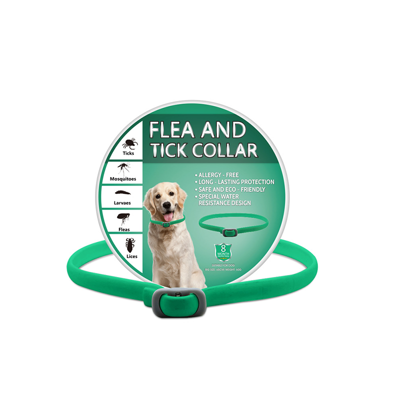 🐶🌿 Collier Anti-Insectes aux Huiles Essentielles