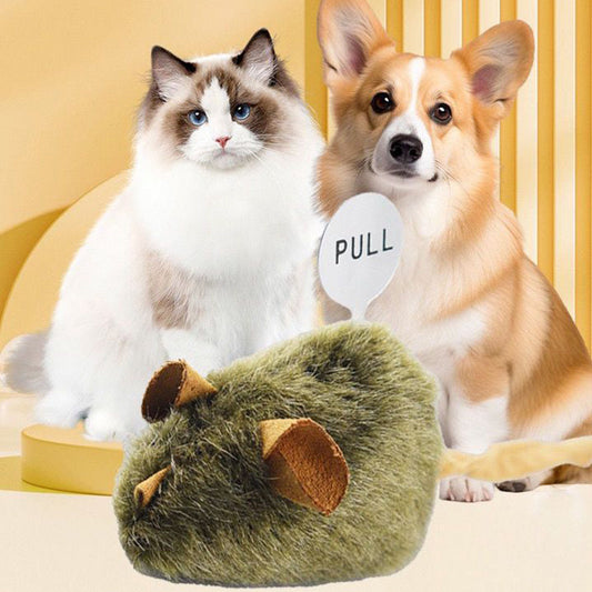 Souris jouet en peluche avec son pour chats