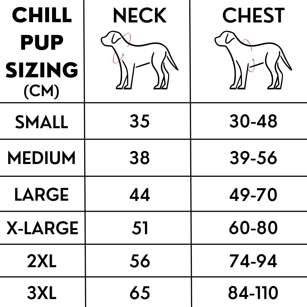 💗LAST DAY SALE 50% OFF⚡50K+ SOLD!!🐾🐕 Dog Summer Ice Cooling Prote🐕‍🦺💦
