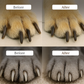 💅 Soldes 2026 — Plus de 33 000 vendus ! 🐾 Coupe-Griffes pour Chiens et Chats avec Lumière LED