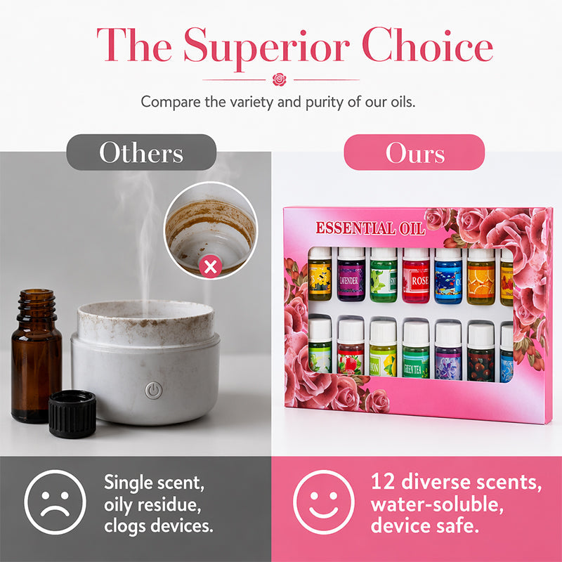 🌿🕯️ Lot de 12 huiles essentielles hydrosolubles – Formule sans résidu, senteurs variées, utilisation polyvalente pour diffuseur, bain, ménage et DIY, transformez votre intérieur en un spa sensoriel sans vous ruiner 🛁🧹