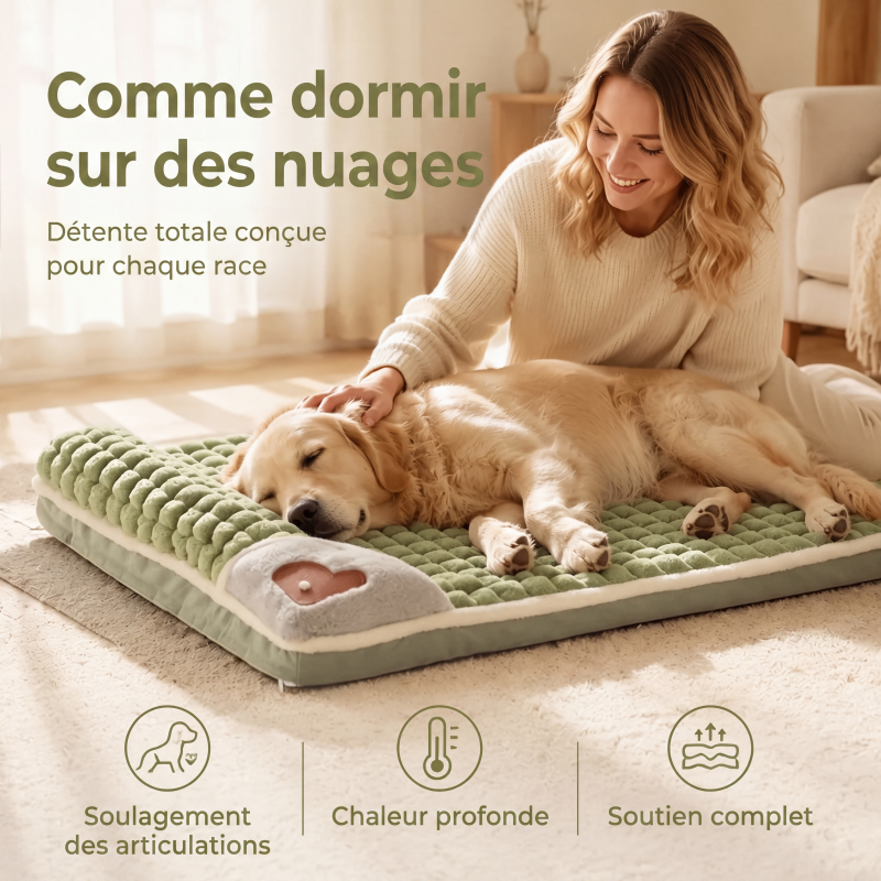 Tapis de sommeil en peluche premium pour animaux de compagnie