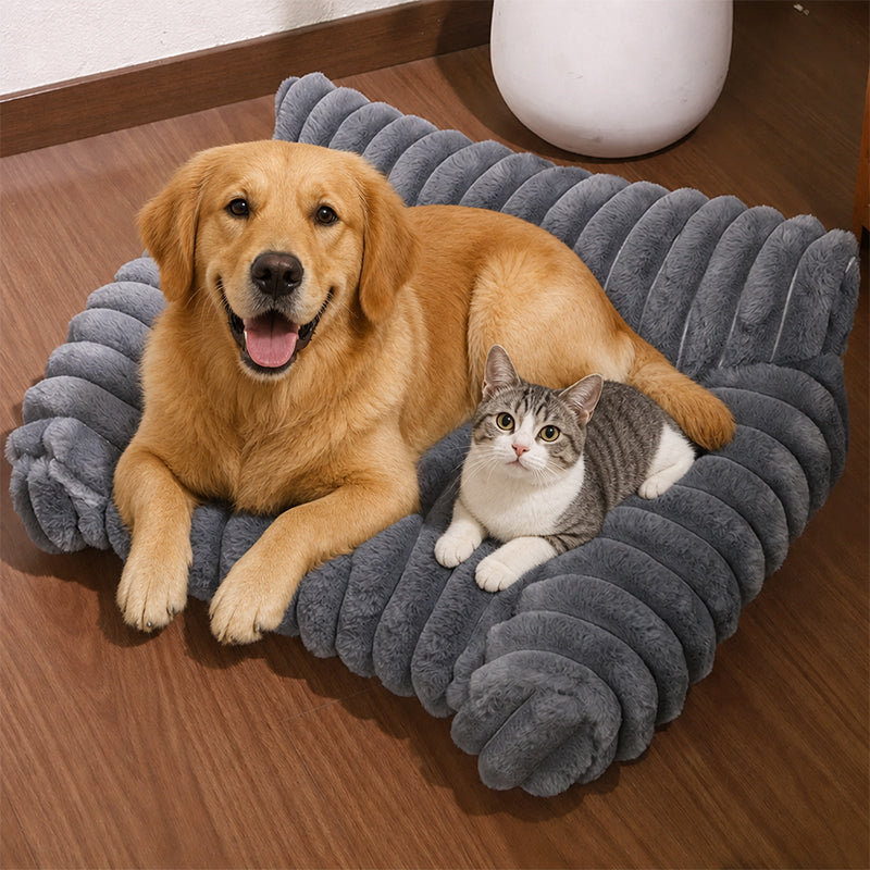 🐾 50% DE RÉDUCTION! 🛋️ Canapé‑Lit Douillet pour Animaux – Enveloppant, doux & décoratif – Confort et style pour votre compagnon ✨