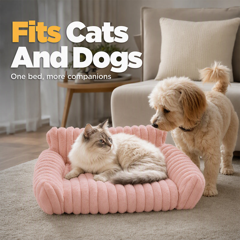 🐾 50% DE RÉDUCTION! 🛋️ Canapé‑Lit Douillet pour Animaux – Enveloppant, doux & décoratif – Confort et style pour votre compagnon ✨
