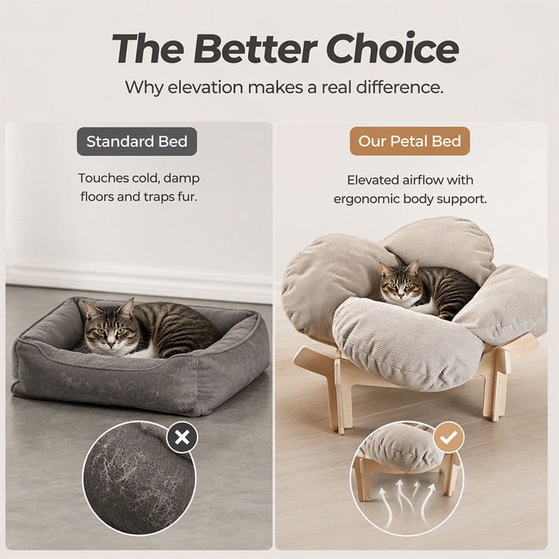 🐾 PROMO FLASH : 50% DE RÉDUCTION ! Lit surélevé en Bois Forme de Pétale – Coussin Velours Côtelé, Design Floral & Socle Aéré for Confort de Votre Animal ✨