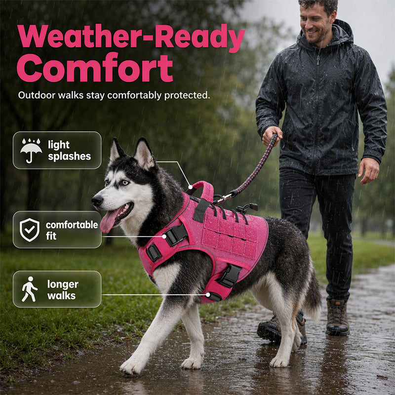 🎁Nouveauté 2026 -50%💥 Harnais gilet pour chien en tissu Oxford résistant – Sûr, ajustable et confortable 🥾✨