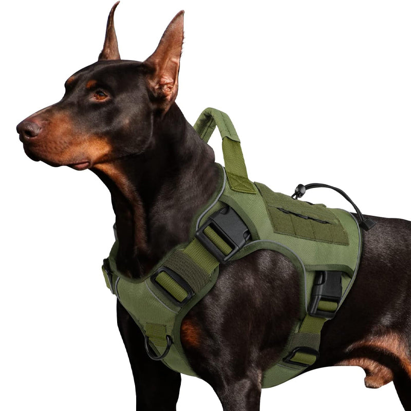 🎁Nouveauté 2026 -50%💥 Harnais gilet pour chien en tissu Oxford résistant – Sûr, ajustable et confortable 🥾✨