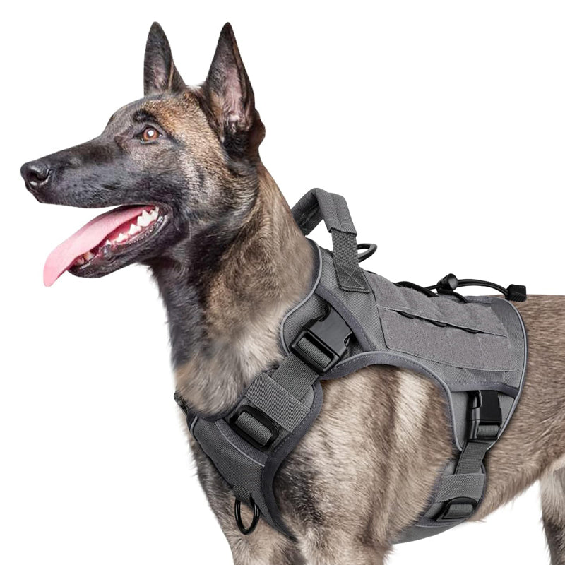 🎁Nouveauté 2026 -50%💥 Harnais gilet pour chien en tissu Oxford résistant – Sûr, ajustable et confortable 🥾✨