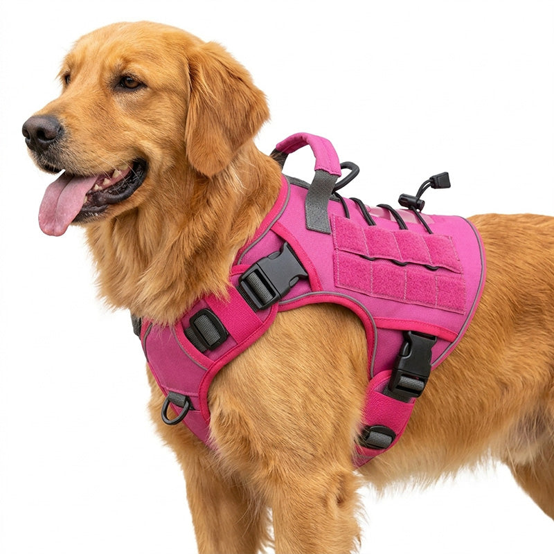 🎁Nouveauté 2026 -50%💥 Harnais gilet pour chien en tissu Oxford résistant – Sûr, ajustable et confortable 🥾✨