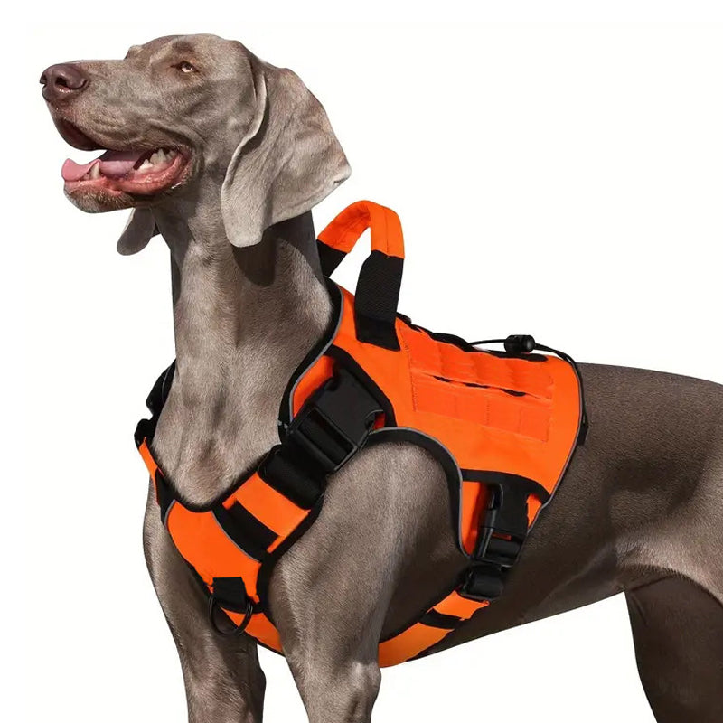 🎁Nouveauté 2026 -50%💥 Harnais gilet pour chien en tissu Oxford résistant – Sûr, ajustable et confortable 🥾✨