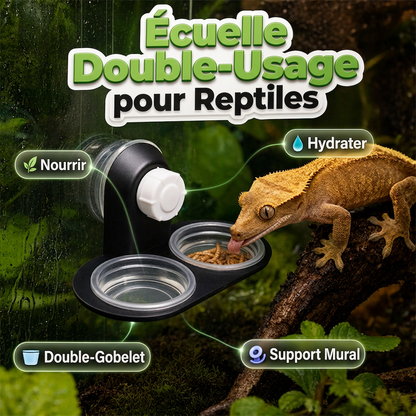 Rebord d'alimentation double pour reptiles avec bols