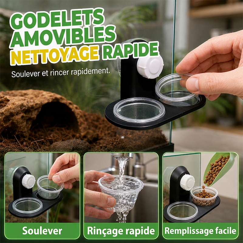 Rebord d'alimentation double pour reptiles avec bols
