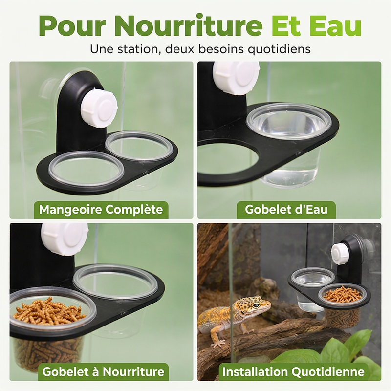 Rebord d'alimentation double pour reptiles avec bols