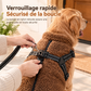 Manteau pour chien d'hiver chaud avec bandes réfléchissantes et harnais, adapté aux chiens de petite et moyenne taille